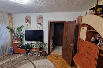 Apartament 2 camere de vanzare BRAZDA LUI NOVAC - Dolj anunturi imobiliare Dolj