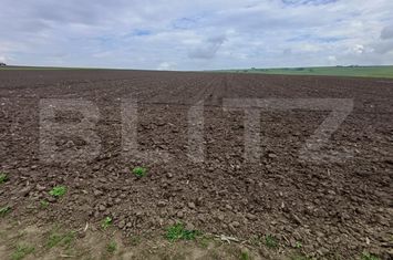 Teren de vanzare SUCEAVA - Suceava anunturi imobiliare Suceava