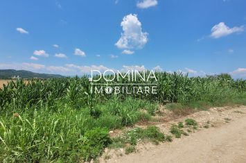 Teren de vanzare BALESTI - Gorj anunturi imobiliare Gorj