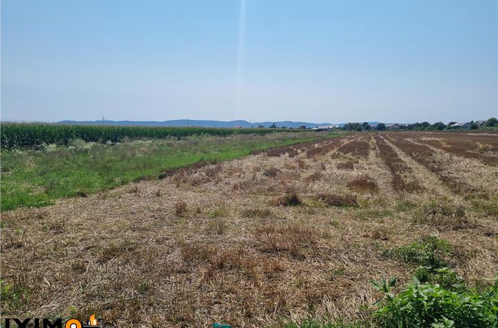 Teren Intravilan de vanzare CENTRAL - Bacau anunturi imobiliare Bacau