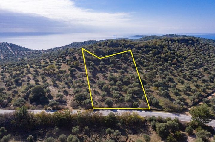 Teren construibil 4.570 mp în Astrida, Thassos anunturi imobiliare Grecia