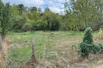 Teren Tomesti langa Biserica ! anunturi imobiliare Iasi