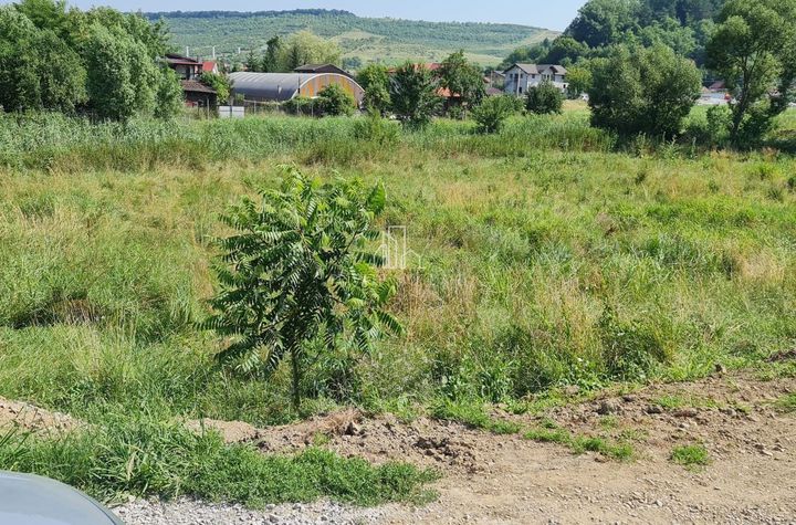 Teren Intravilan de vanzare LIVEZENI - Mures anunturi imobiliare Mures