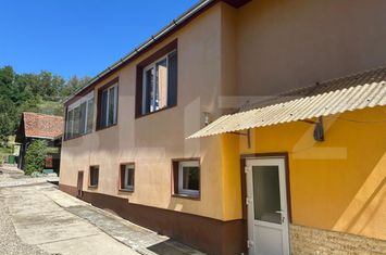 Vilă - 4 camere de vanzare RUPEA - Brasov anunturi imobiliare Brasov