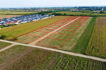 Teren Intravilan de vanzare MARTINESTI - Satu Mare anunturi imobiliare Satu Mare