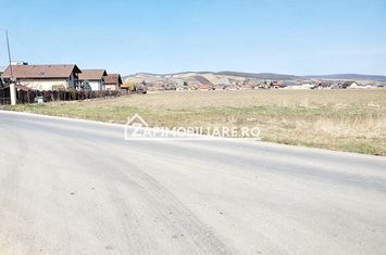 Teren 27.000 mp.deschidere la 2 drumuri ,75 euro mp. anunturi imobiliare Mures