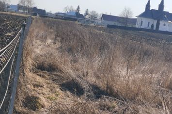 Teren de vanzare FRATAUTII VECHI - Suceava anunturi imobiliare Suceava