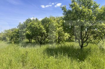 Teren de vanzare CUCORANI - Botosani anunturi imobiliare Botosani