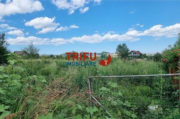 Teren Intravilan de vanzare CENTRAL - Alba anunturi imobiliare Alba