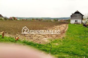 Teren 5800 mp,150m de Aeroport deschidere 58m la E60,20 euro anunturi imobiliare Mures