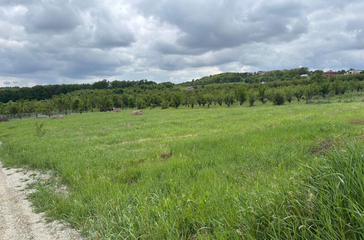 Teren de vanzare PALEU - Bihor anunturi imobiliare Bihor