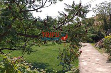 Casă - 4 camere de vanzare CENTRAL - Alba anunturi imobiliare Alba