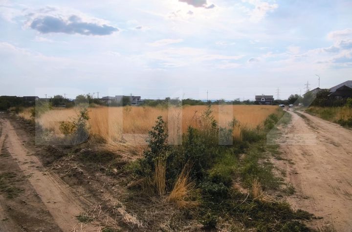Teren de vanzare MALU MARE - Dolj anunturi imobiliare Dolj