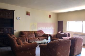 Vila fix Parcul Tineretului P+1 ~190mp curte locuri de parcare & garaj anunturi imobiliare Bucuresti