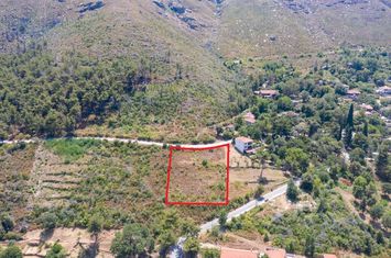 Teren construibil 2435 mp în Mikros Prinos, Thassos anunturi imobiliare Grecia