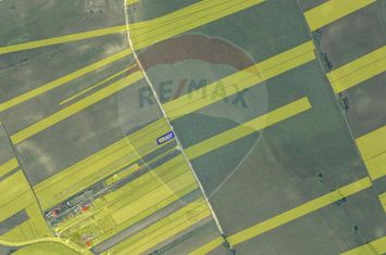 Teren intravilan I Vânatori I 600 mp I Comision 0% anunturi imobiliare Iasi