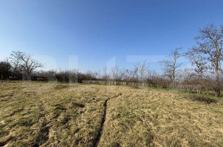Teren de vanzare TIMISOARA - Timis anunturi imobiliare Timis