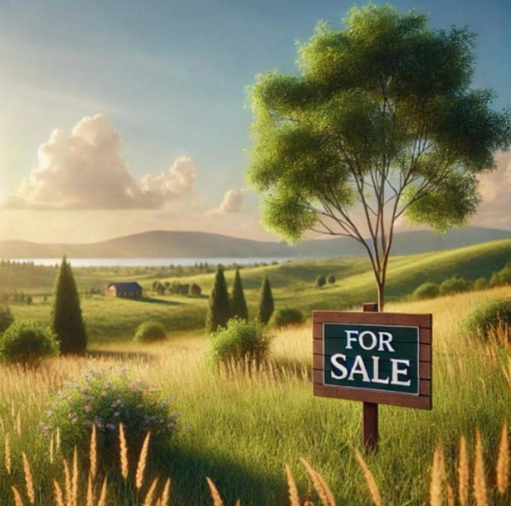 Teren de vanzare DAMBUL MORII - Brasov anunturi imobiliare Brasov
