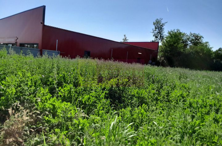 Movilita (IL)-teren de inchiriat aprox. 2 ha stradal, langa Profi anunturi imobiliare Ialomita