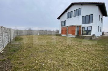 Vilă - 10 camere de vanzare MOSNITA VECHE - Timis anunturi imobiliare Timis