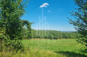 EXCLUSIVITATE! Teren la șoseaua principală | Tocile anunturi imobiliare Sibiu