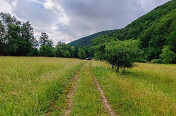 2,8 Ha Teren Extravilan cu Pârâu - Negreni, Cluj anunturi imobiliare Cluj
