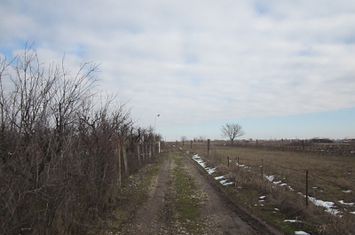 Domnesti-Gara. anunturi imobiliare Bucuresti
