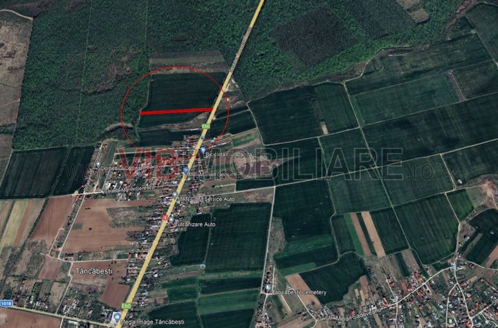 Ciolpani - Dn1 Stradal, teren intravilan, suprafata 4.676 mp anunturi imobiliare Bucuresti