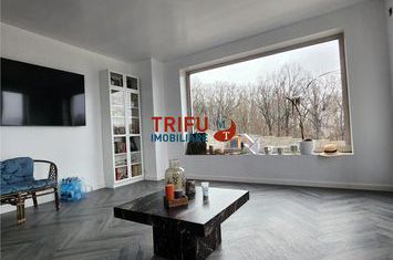 Vilă - 5 camere de vanzare CETATE - Alba anunturi imobiliare Alba