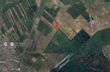 Teren intravilan curti constructii - 8000 mp Darza-Crevedia jud.Dambovita anunturi imobiliare Dambovita