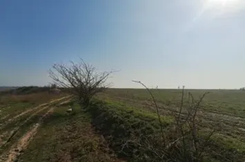 Teren intravilan -Balaceanca anunturi imobiliare Bucuresti