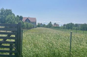 Teren de vanzare RADAUTI - Suceava anunturi imobiliare Suceava