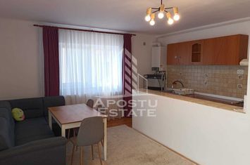 Apartament cu 2 camere, etajul 2 , centrala proprie, zona Dambovita anunturi imobiliare Timis