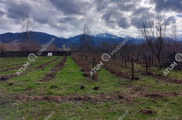 Teren Intravilan de vanzare AVRIG - Sibiu anunturi imobiliare Sibiu