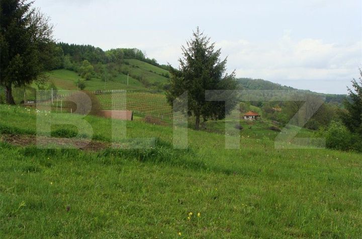 Teren de vanzare POIANA MARULUI - Brasov anunturi imobiliare Brasov
