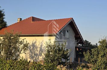 Cladire individuala/pensiune in Curtici, zona centrala. anunturi imobiliare Arad