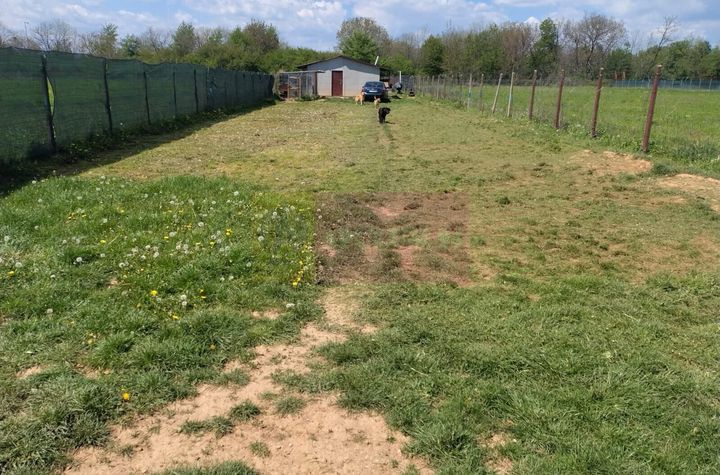 Teren Extravilan de vanzare BANESTI - Prahova anunturi imobiliare Prahova