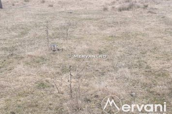 Teren Intravilan de vanzare VOILA - Prahova anunturi imobiliare Prahova