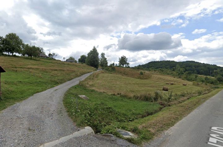 Teren intravilan Rosia, 12 000 mp, cu proiect aprobat. Comision 0. anunturi imobiliare Bihor