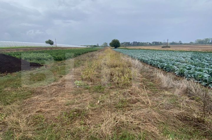 Teren de vanzare TARGOVISTE - Dambovita anunturi imobiliare Dambovita