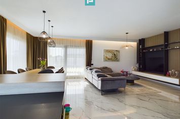 Vilă Exclusivistă Dumbrăvița anunturi imobiliare Timis