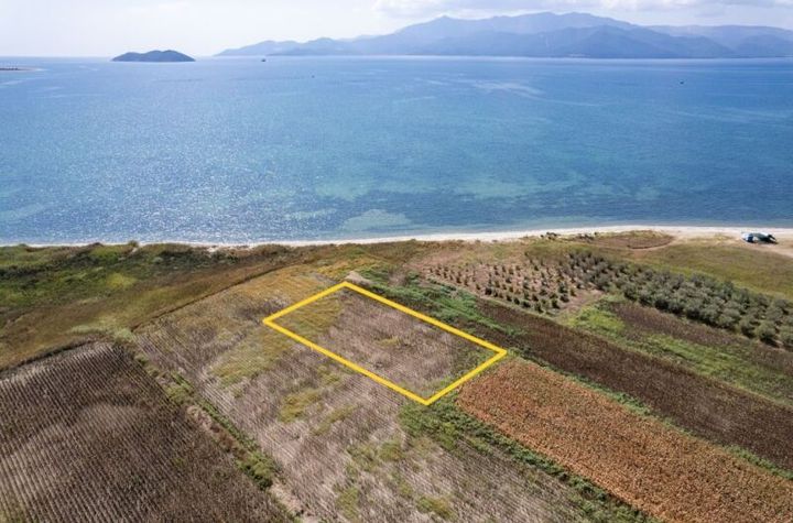 Teren 2.528 mp la 50 metri de mare, Piges anunturi imobiliare Grecia