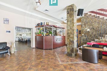 Proprietate locativă și turistică la Orțișoara anunturi imobiliare Timis