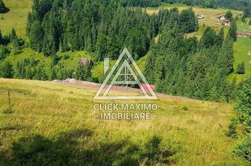 7130 mp TEREN INTRAVILAN ARIESENI-ALBA langa viitoarea partie de SCHI anunturi imobiliare Alba