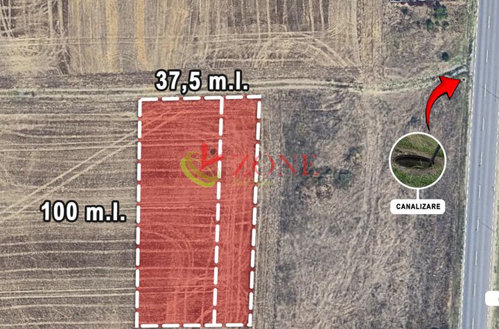 Teren de vanzare BRANESTI - Bucuresti anunturi imobiliare Bucuresti