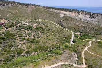 Teren construibil 7100 mp în Thimonia, Thassos anunturi imobiliare Grecia