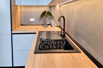 Apartament de lux cu 2 camere open space in Mosnita Noua anunturi imobiliare Timis