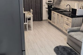 Inchiriez apartament 2 camere tip studio, zona Dobroesti-Sos. Fundeni-Dragonul Rosu,Caisului Residence,Str. Caisului,bloc 2023, 2 locuri de parcare+boxa. anunturi imobiliare Bucuresti