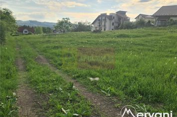 Teren intravilan de vanzare in Campina - Zona Muscel anunturi imobiliare Prahova