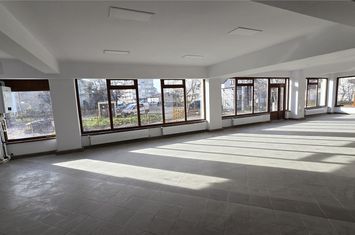 Spațiu comercial de vanzare BURDUJENI - Suceava anunturi imobiliare Suceava
